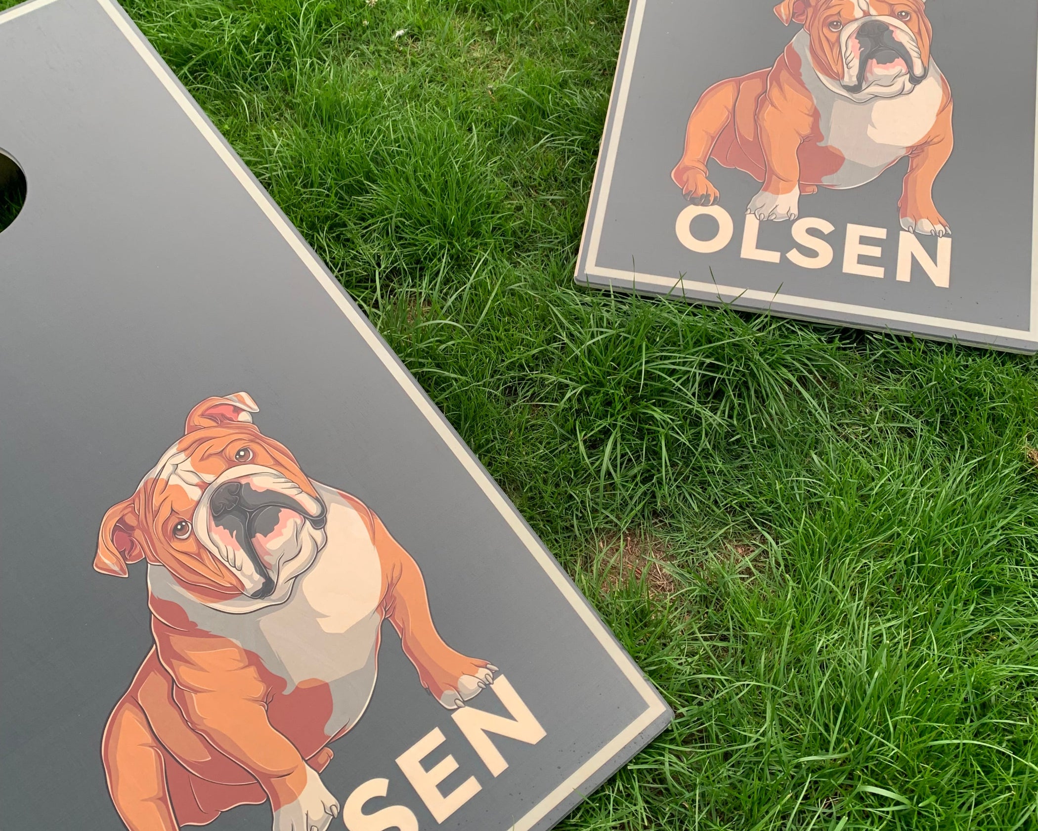 Billede af Flexy-sektion